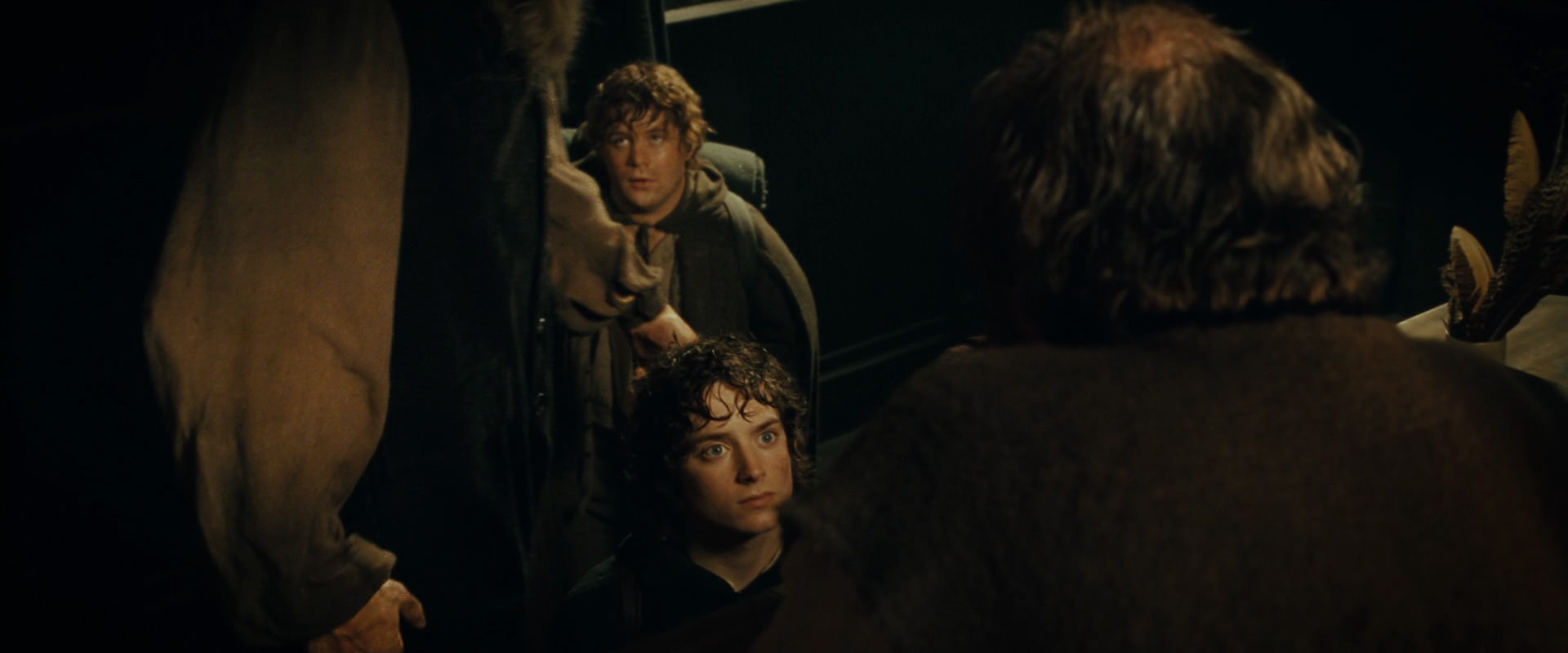 The Lord of the Rings: The Fellowship of the Ring (2001) HD screenshot 6854