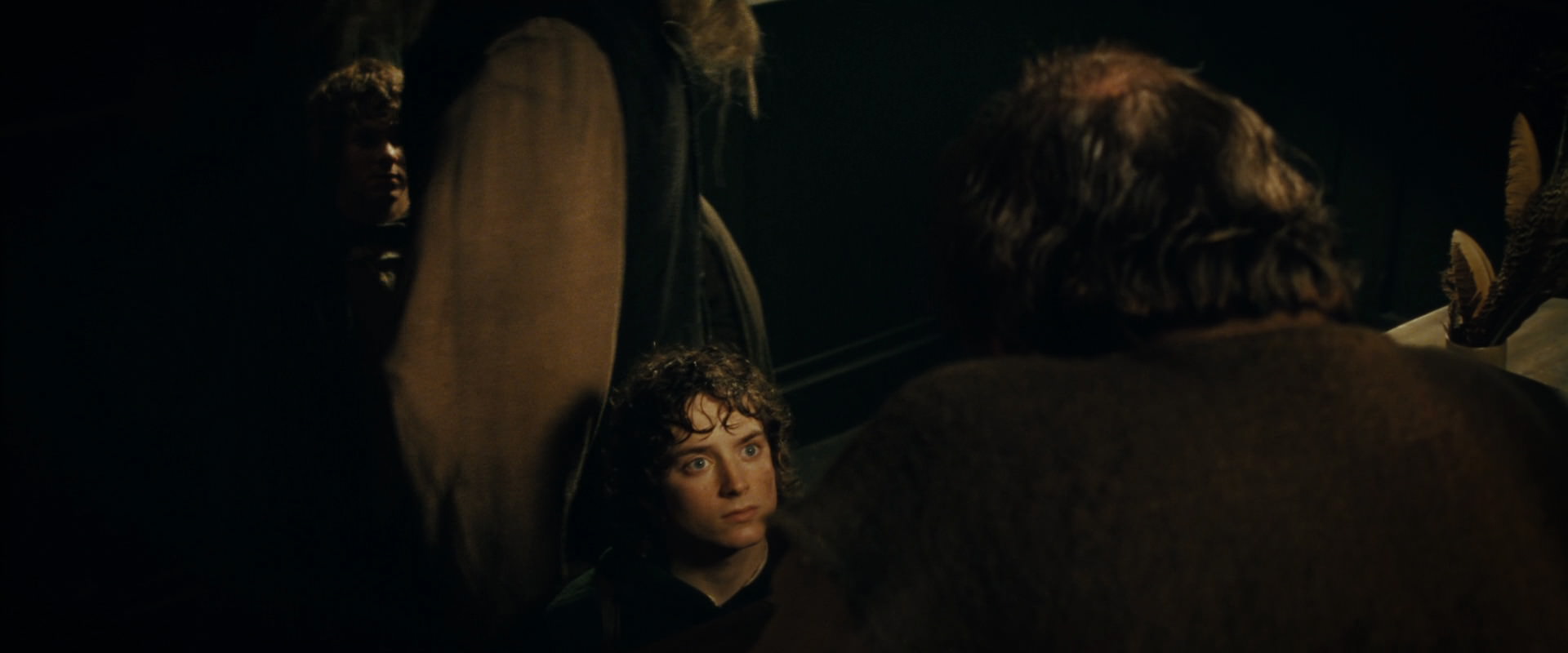 The Lord of the Rings: The Fellowship of the Ring (2001) screencap 6855