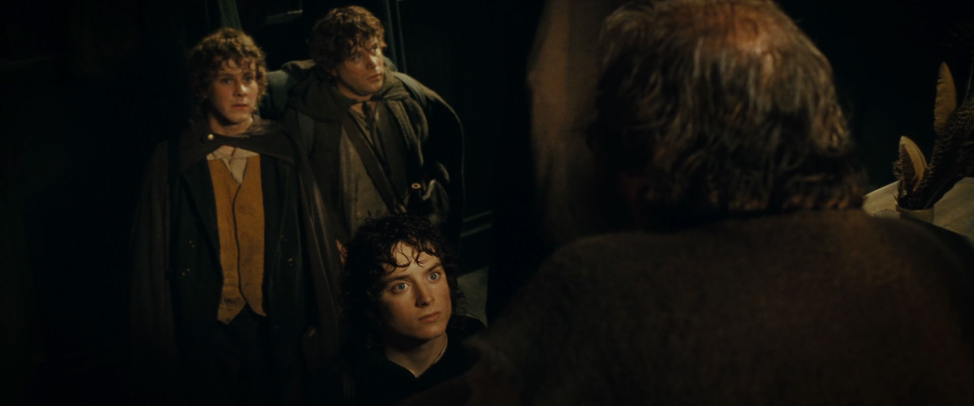 The Lord of the Rings: The Fellowship of the Ring (2001) HD screenshot 6857
