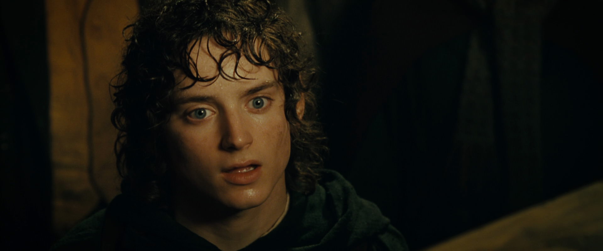 The Lord of the Rings: The Fellowship of the Ring (2001) HD screenshot 6869