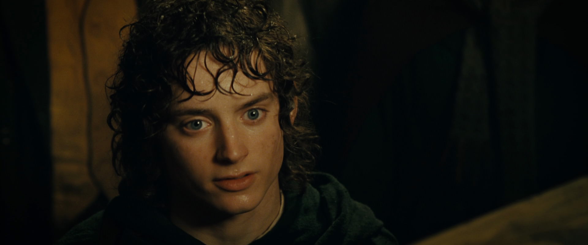 The Lord of the Rings: The Fellowship of the Ring (2001) screencap 6870