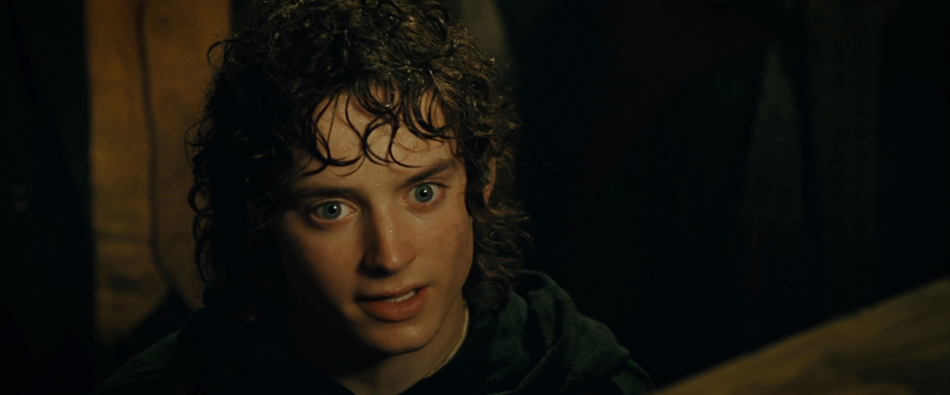 The Lord of the Rings: The Fellowship of the Ring (2001) screencap 6873
