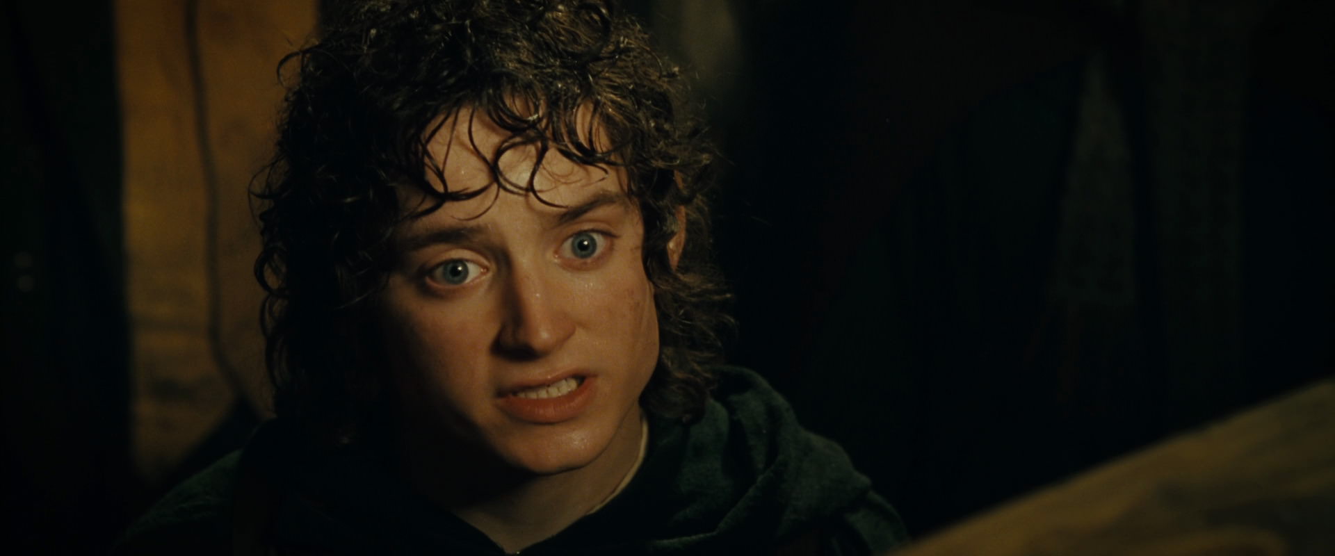 The Lord of the Rings: The Fellowship of the Ring (2001) screencap 6879
