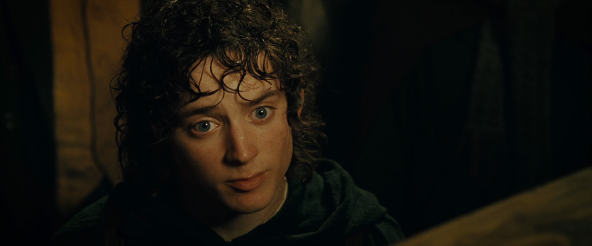The Lord of the Rings: The Fellowship of the Ring (2001) screencap 6882