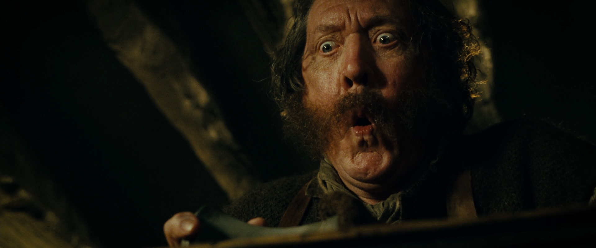 The Lord of the Rings: The Fellowship of the Ring (2001) screencap 6894