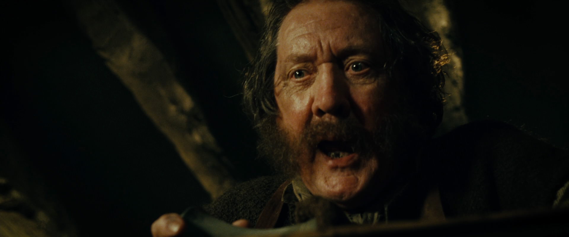 The Lord of the Rings: The Fellowship of the Ring (2001) HD screenshot 6896