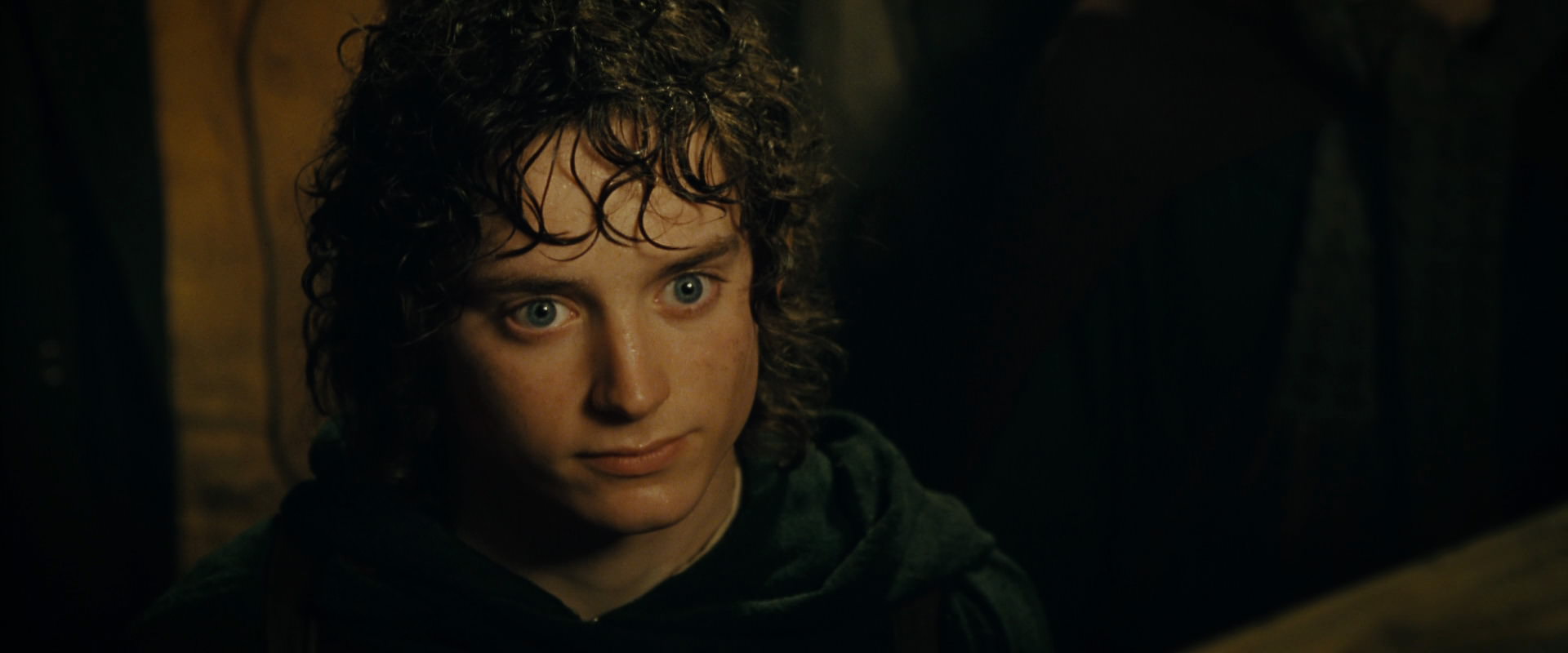 The Lord of the Rings: The Fellowship of the Ring (2001) screencap 6900