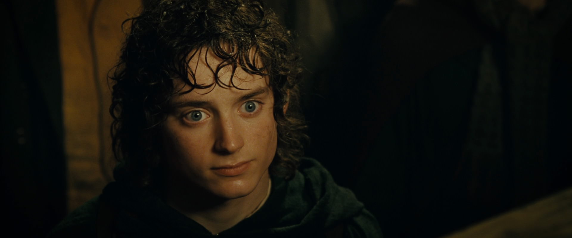 The Lord of the Rings: The Fellowship of the Ring (2001) movie still 6901