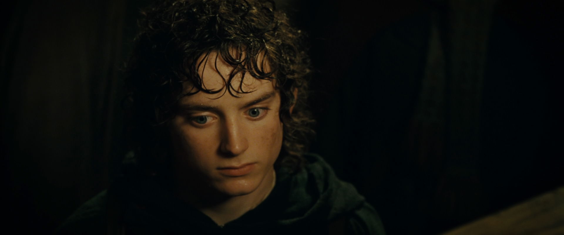 The Lord of the Rings: The Fellowship of the Ring (2001) screencap 6918