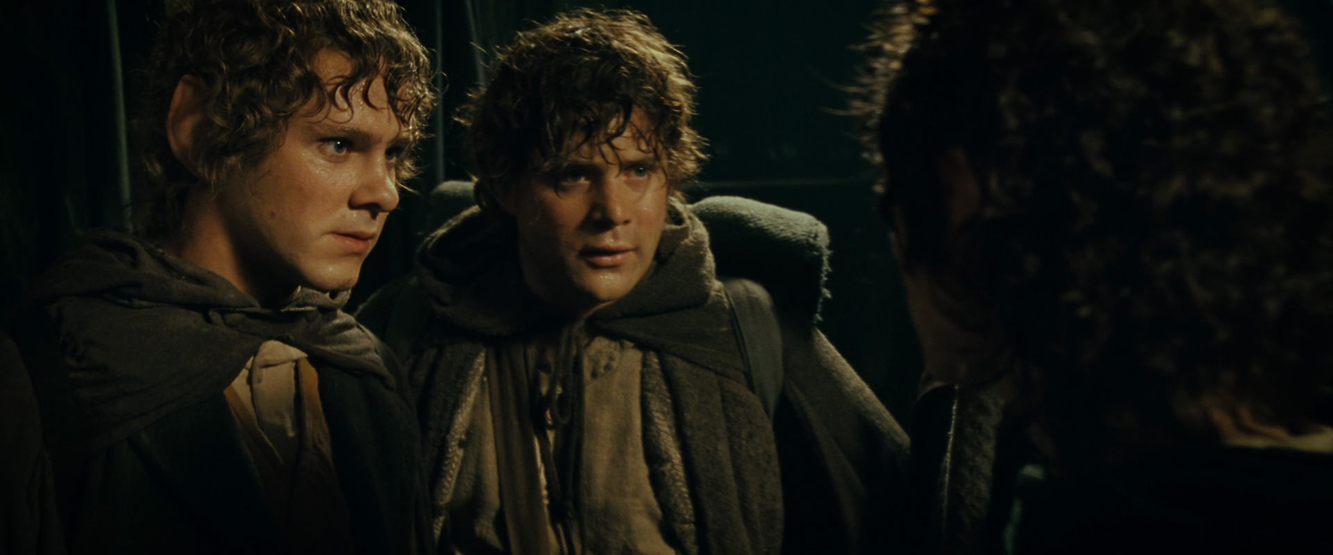 The Lord of the Rings: The Fellowship of the Ring (2001) HD screenshot 6923