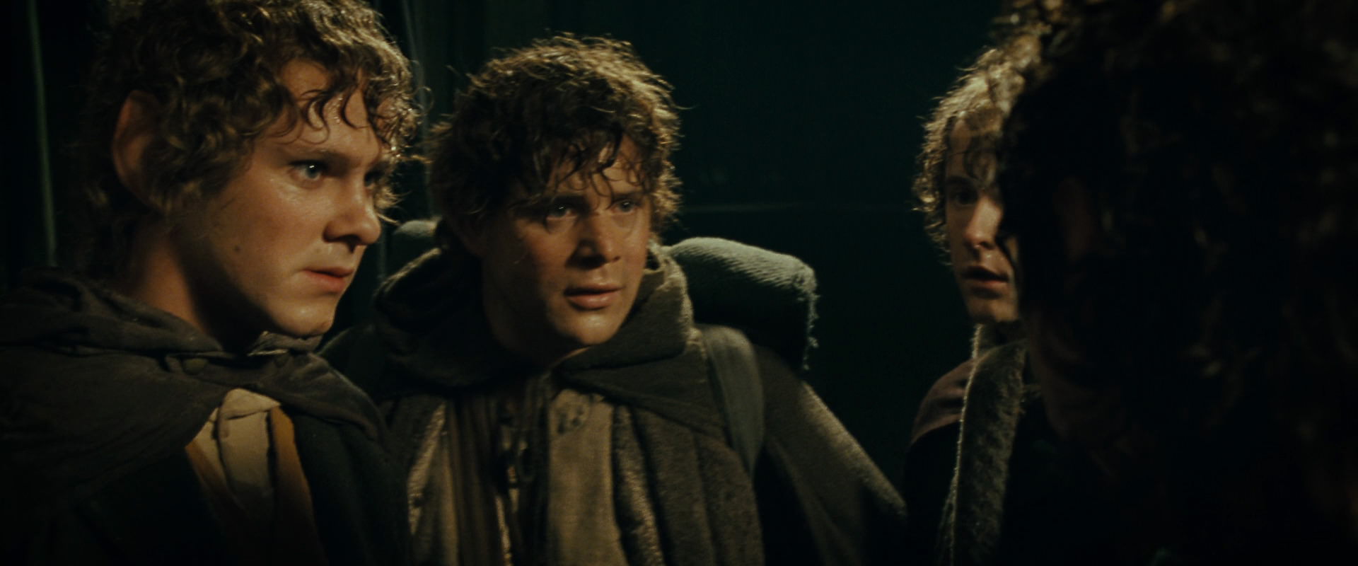The Lord of the Rings: The Fellowship of the Ring (2001) screencap 6924