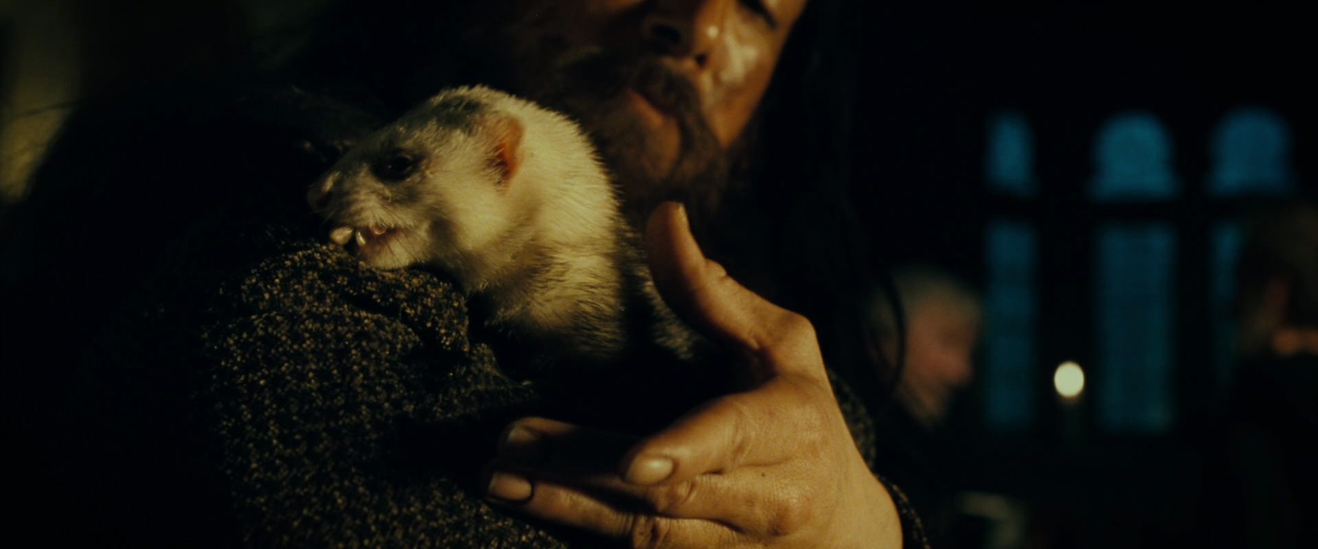 The Lord of the Rings: The Fellowship of the Ring (2001) screencap 6936