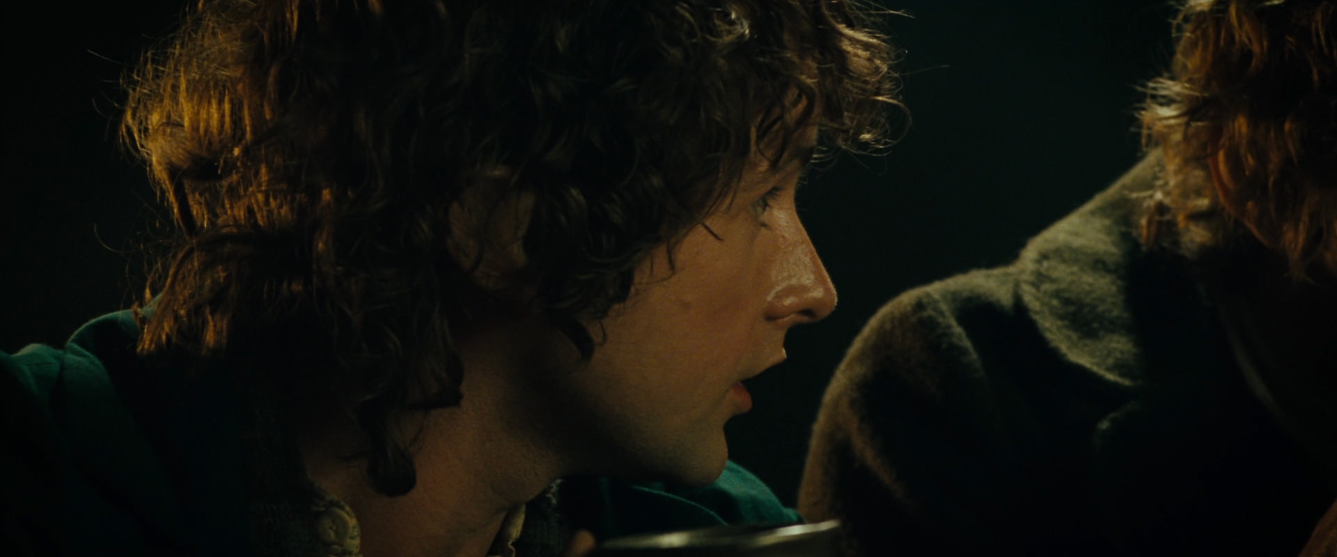 The Lord of the Rings: The Fellowship of the Ring (2001) screencap 6975