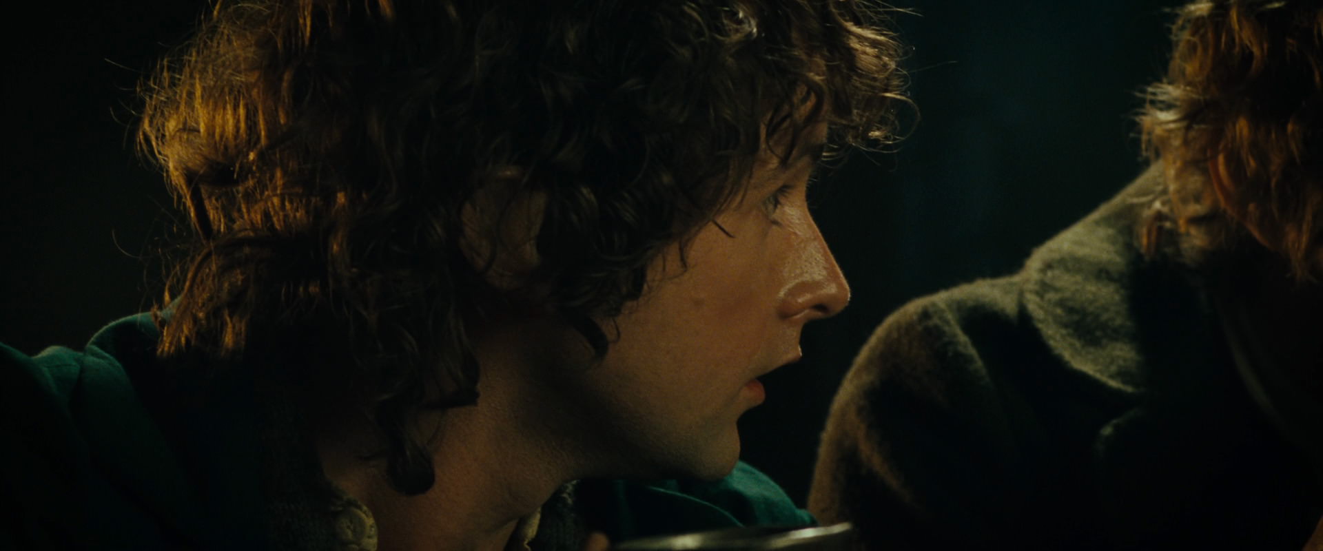 The Lord of the Rings: The Fellowship of the Ring (2001) movie still 6976