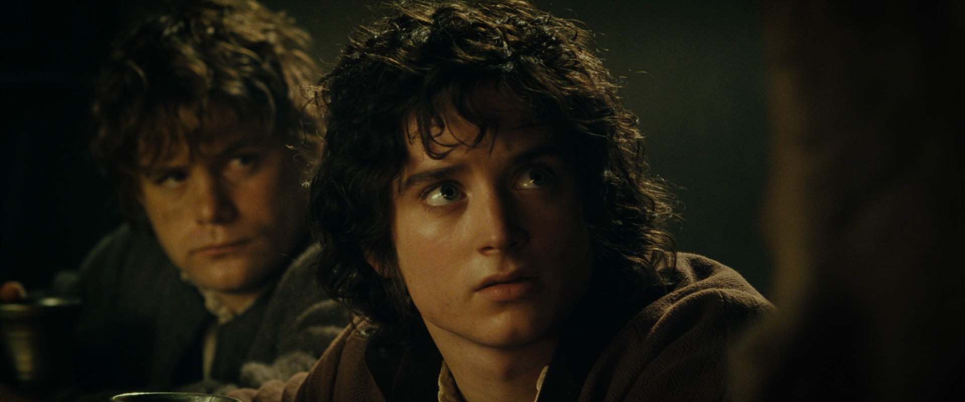 The Lord of the Rings: The Fellowship of the Ring (2001) screencap 7032