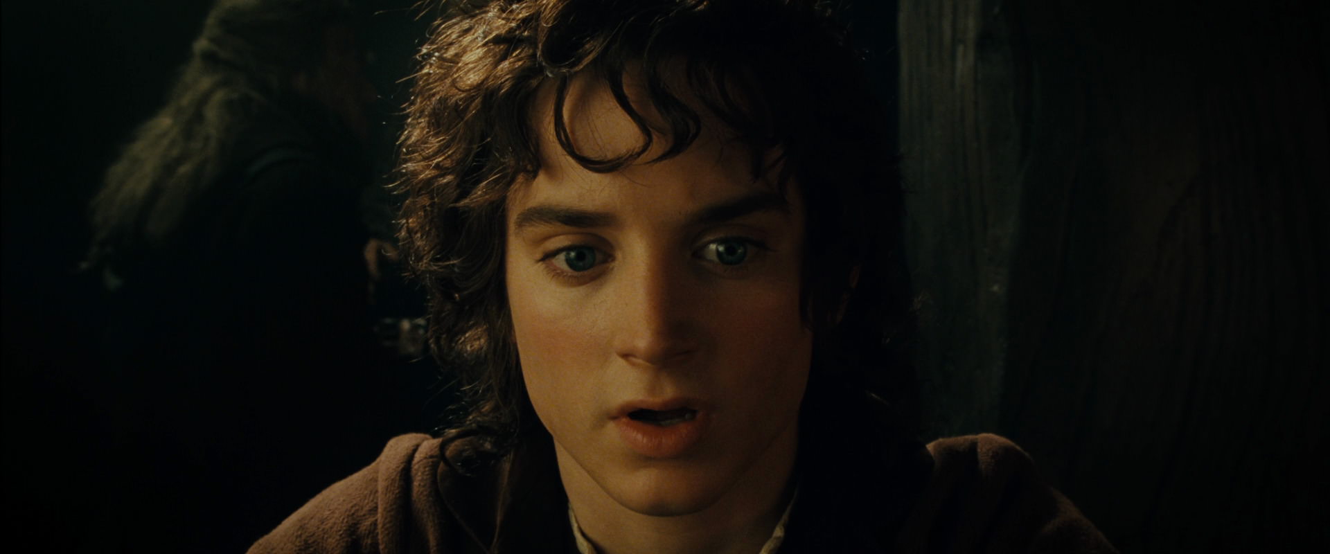 The Lord of the Rings: The Fellowship of the Ring (2001) movie still 7051