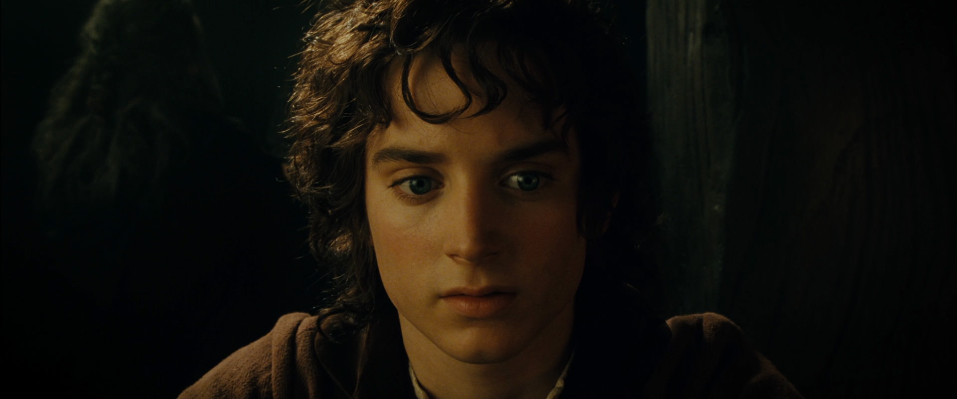 The Lord of the Rings: The Fellowship of the Ring (2001) screencap 7062