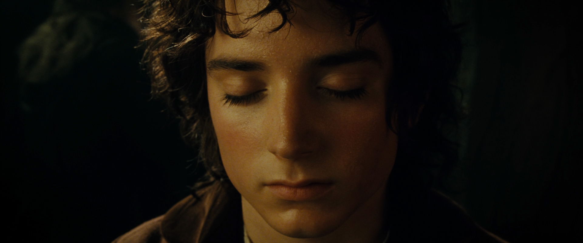 The Lord of the Rings: The Fellowship of the Ring (2001) screencap 7089