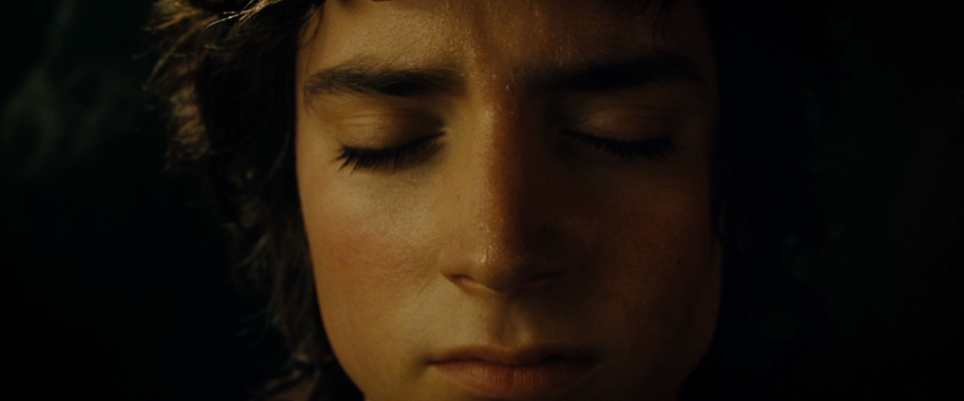 The Lord of the Rings: The Fellowship of the Ring (2001) screencap 7101