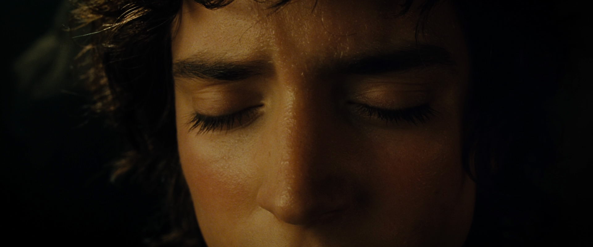 The Lord of the Rings: The Fellowship of the Ring (2001) HD screenshot 7118