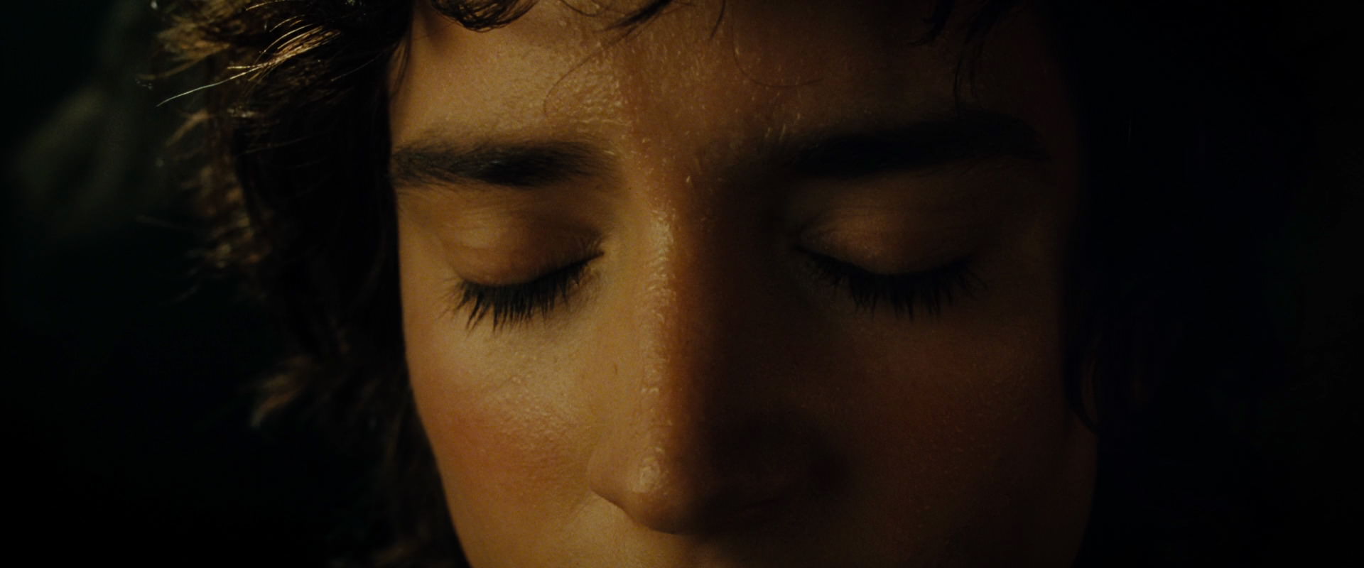 The Lord of the Rings: The Fellowship of the Ring (2001) HD screenshot 7121
