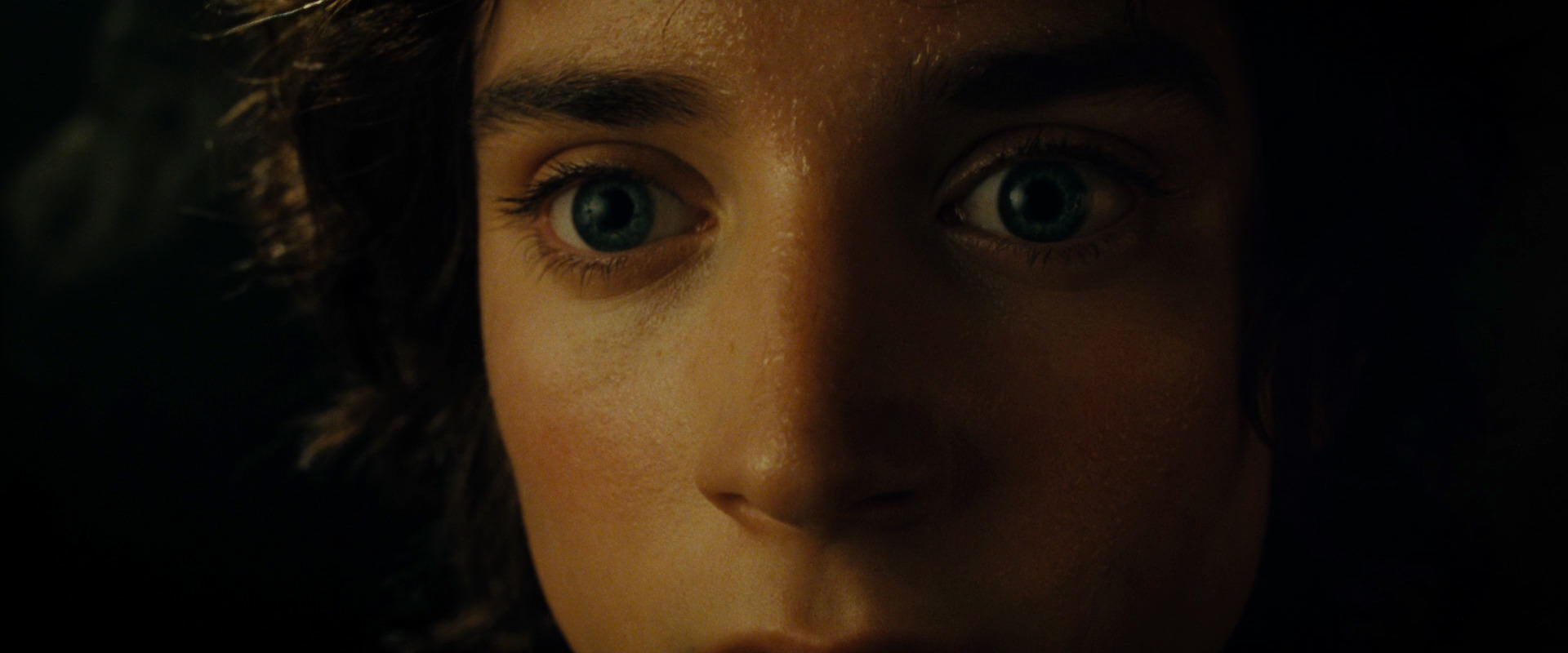 The Lord of the Rings: The Fellowship of the Ring (2001) screencap 7122