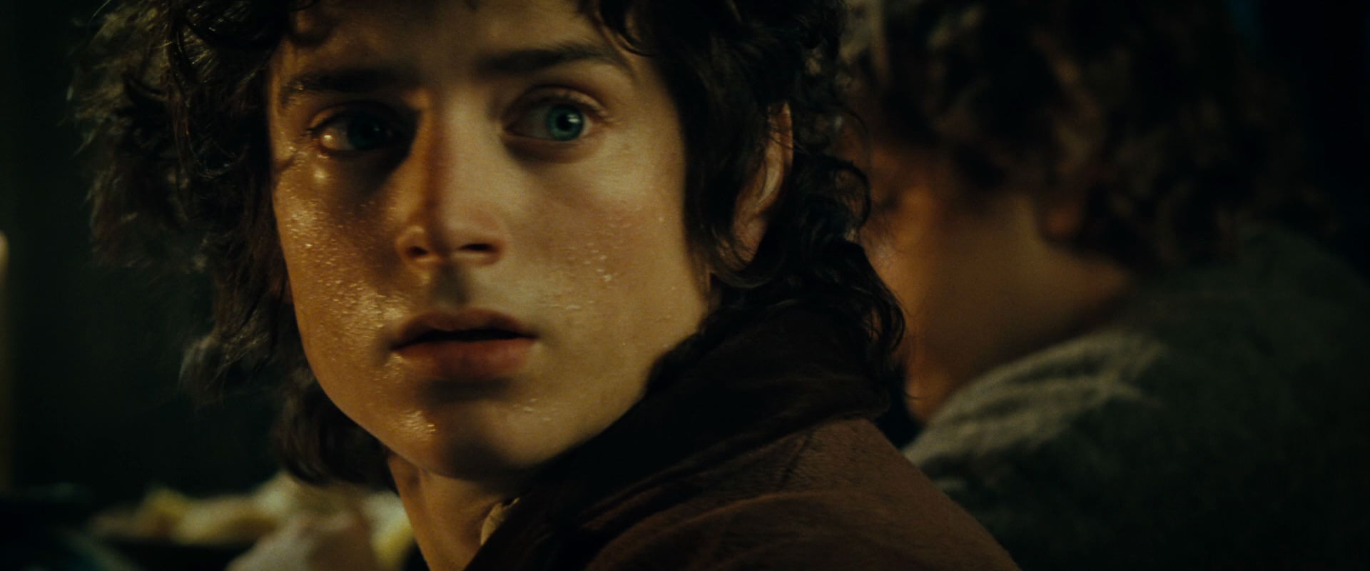 The Lord of the Rings: The Fellowship of the Ring (2001) HD screenshot 7124