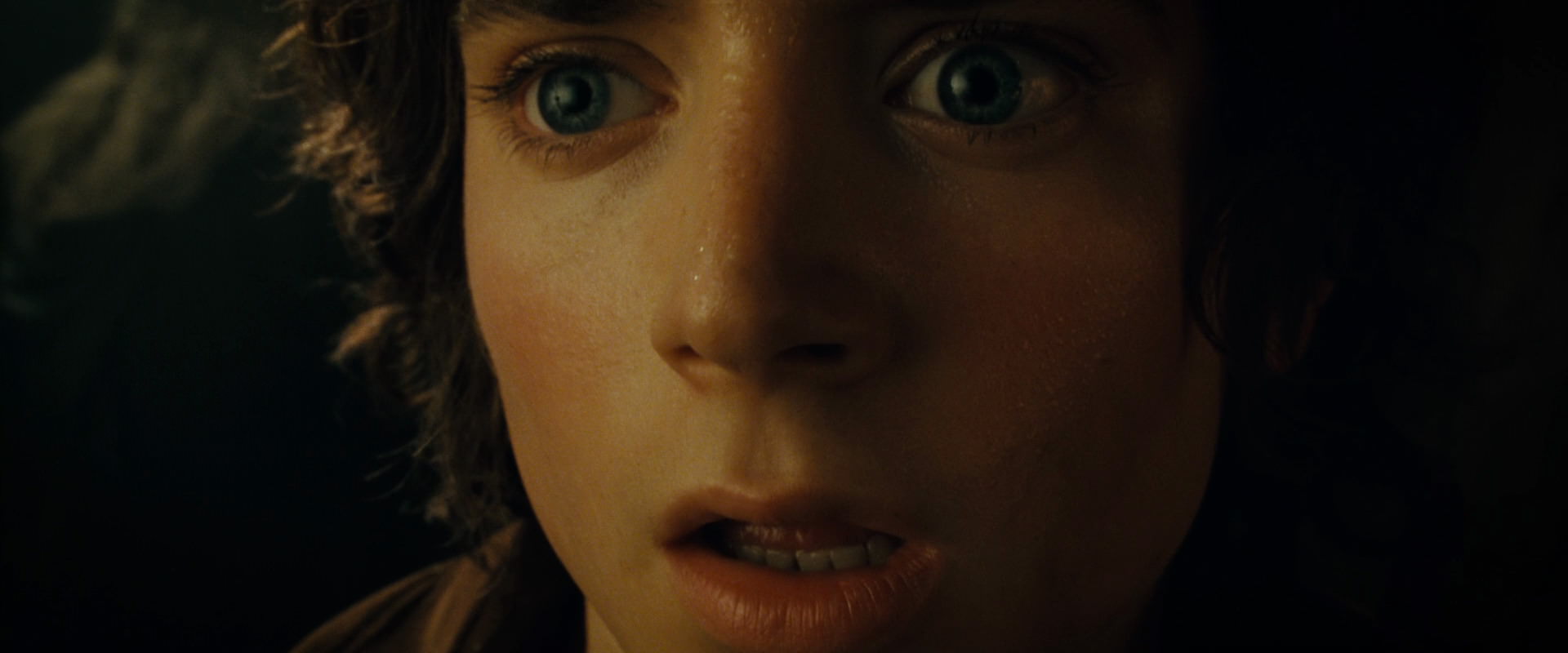 The Lord of the Rings: The Fellowship of the Ring (2001) HD screenshot 7133