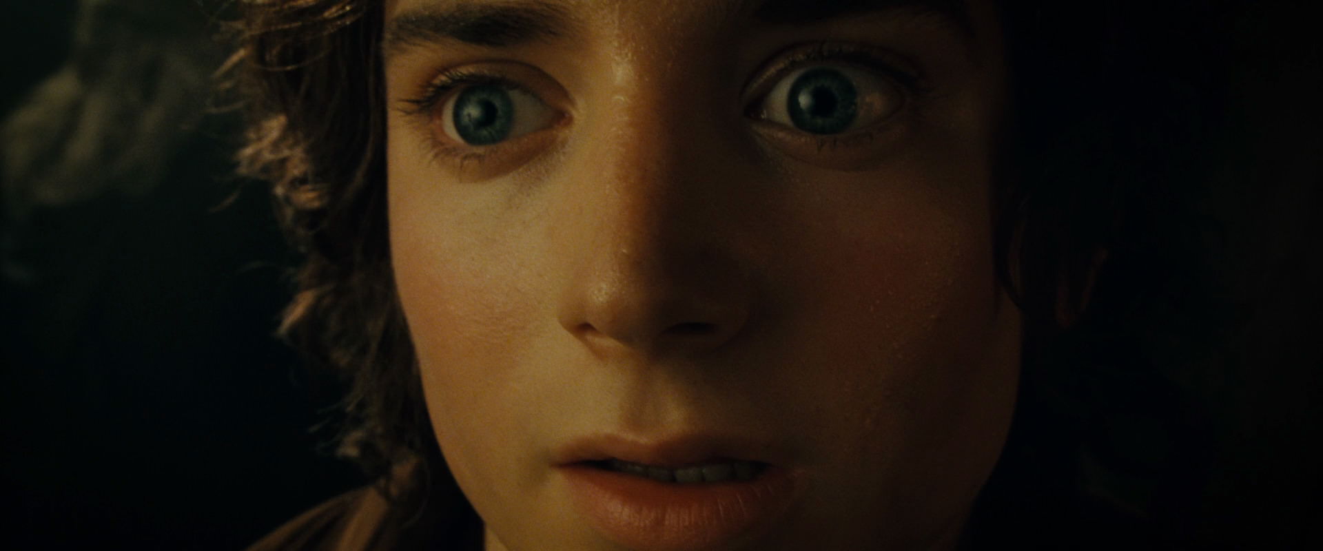 The Lord of the Rings: The Fellowship of the Ring (2001) screencap 7134