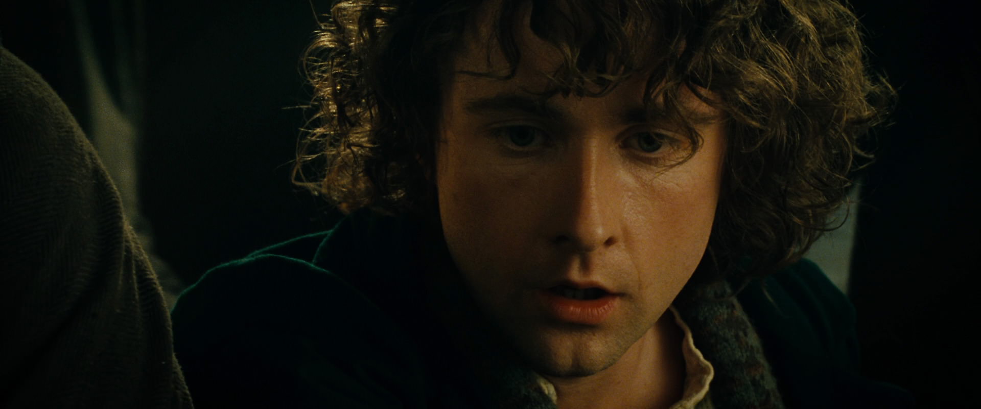 The Lord of the Rings: The Fellowship of the Ring (2001) screencap 7185