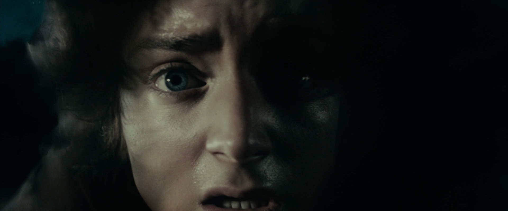 The Lord of the Rings: The Fellowship of the Ring (2001) screencap 7194