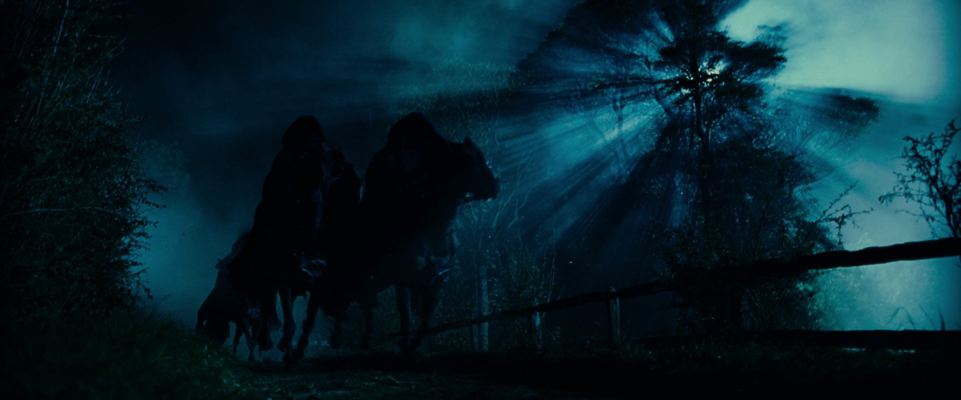 The Lord of the Rings: The Fellowship of the Ring (2001) screencap 7206