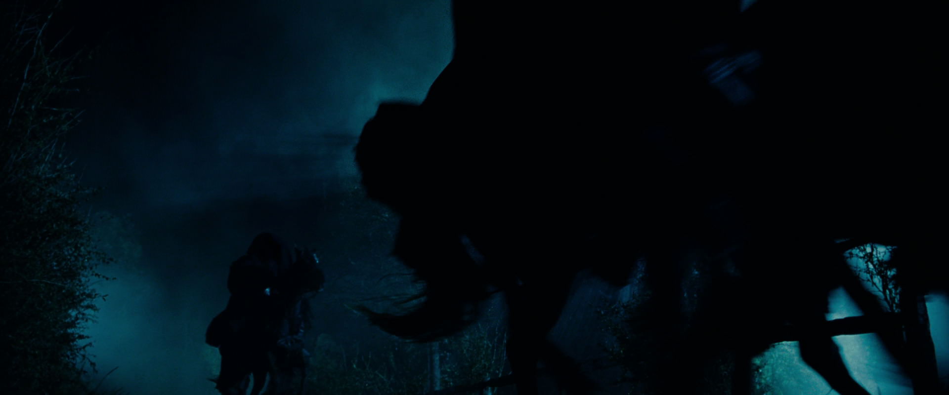 The Lord of the Rings: The Fellowship of the Ring (2001) screencap 7209