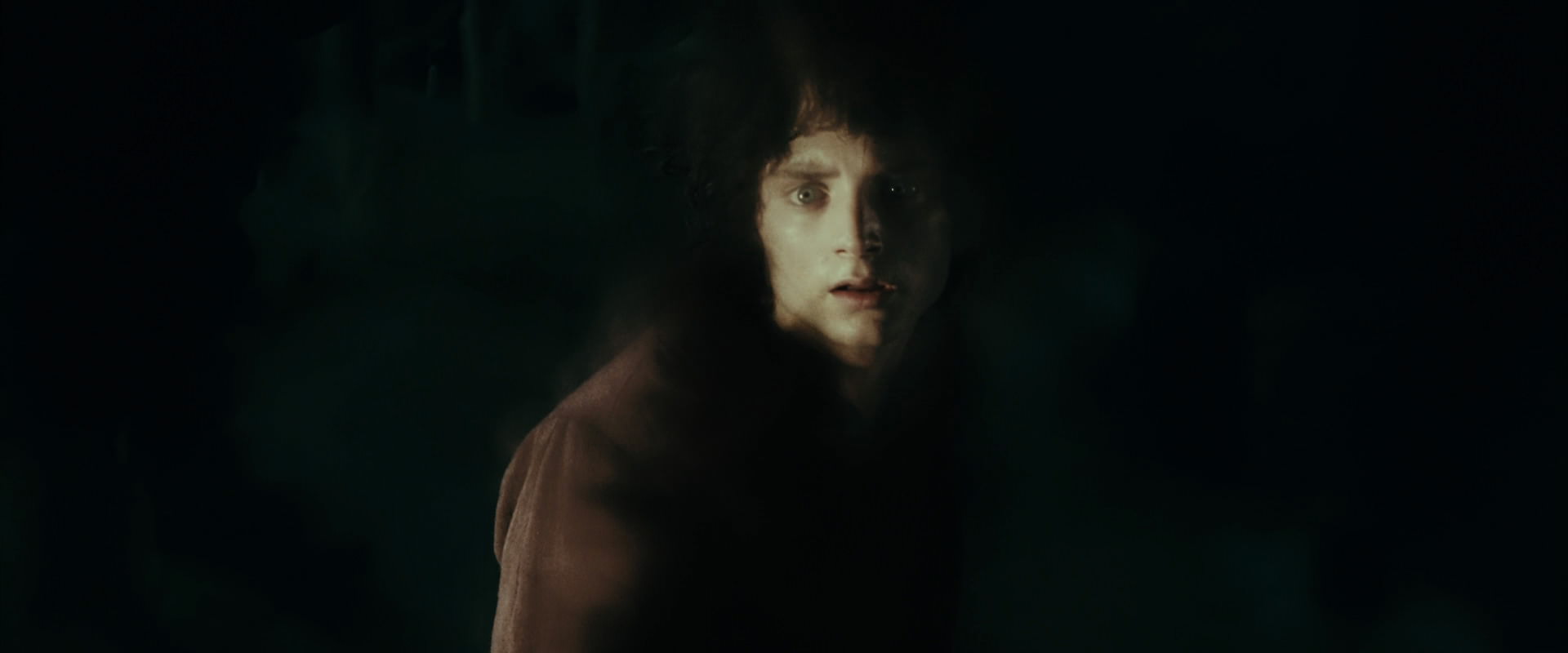 The Lord of the Rings: The Fellowship of the Ring (2001) screencap 7221
