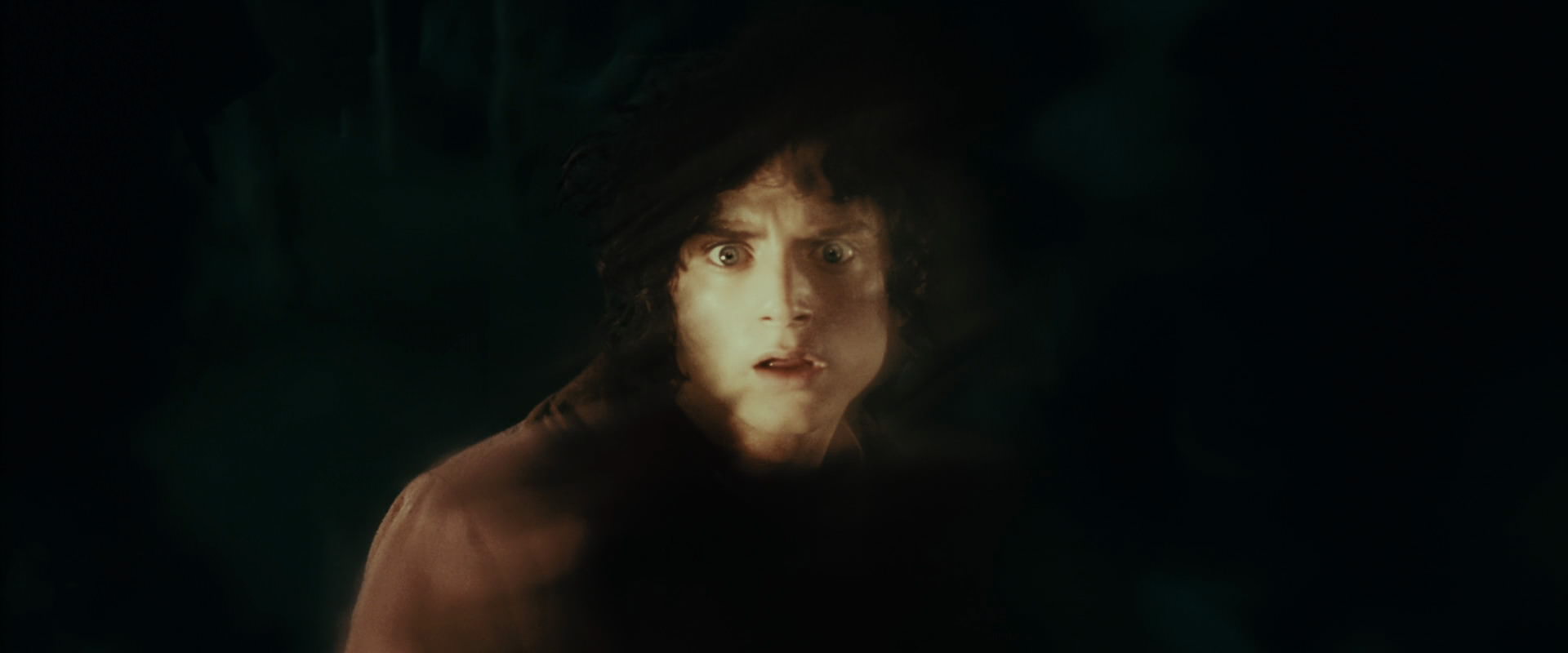 The Lord of the Rings: The Fellowship of the Ring (2001) screencap 7227