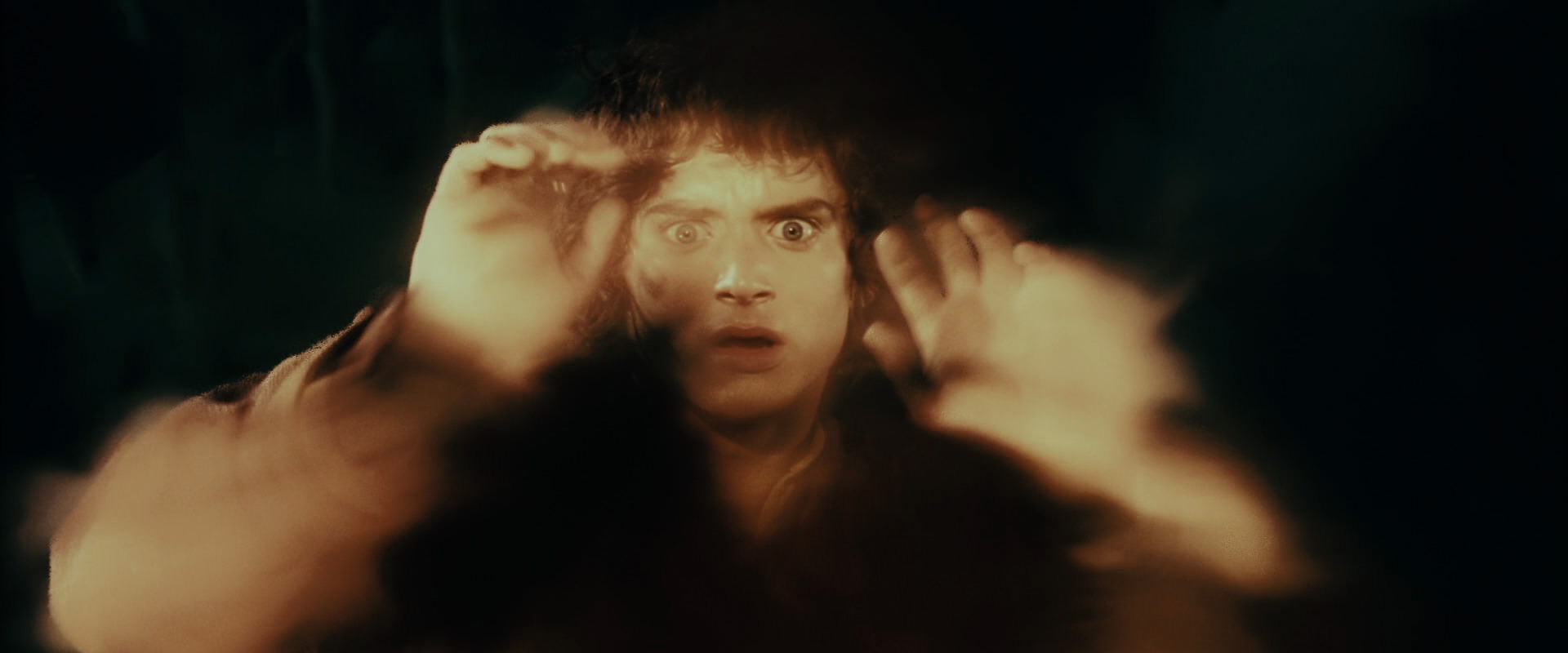 The Lord of the Rings: The Fellowship of the Ring (2001) movie still 7231