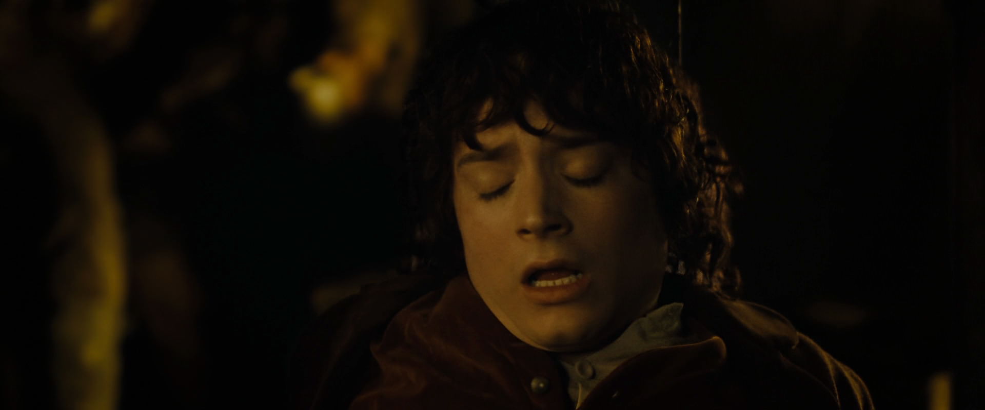The Lord of the Rings: The Fellowship of the Ring (2001) screencap 7254