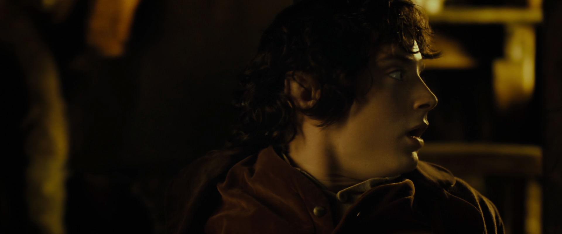 The Lord of the Rings: The Fellowship of the Ring (2001) HD screenshot 7256