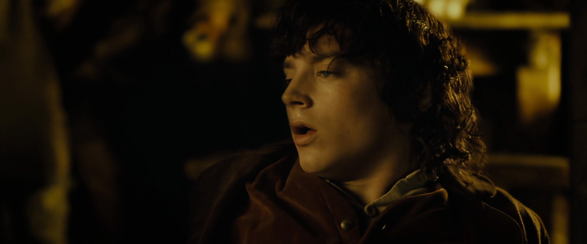 The Lord of the Rings: The Fellowship of the Ring (2001) HD screenshot 7259