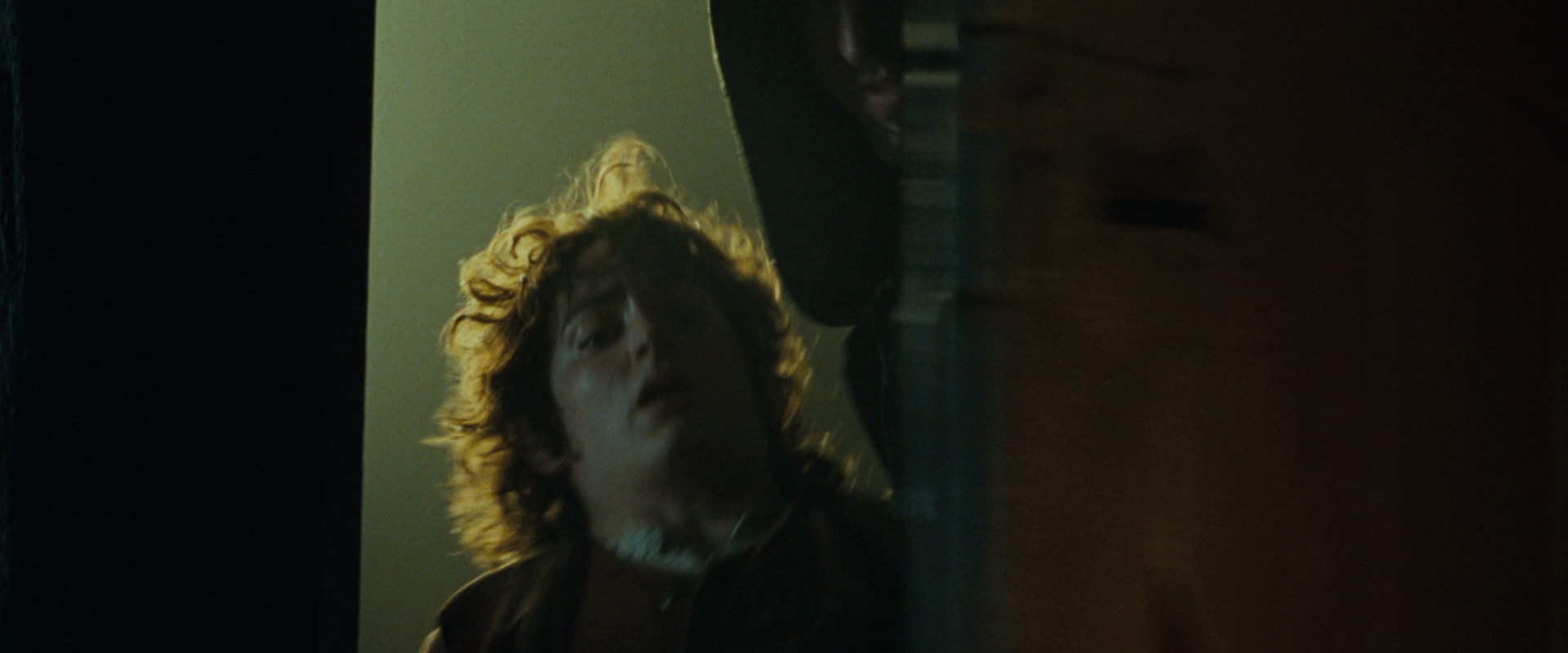 The Lord of the Rings: The Fellowship of the Ring (2001) screencap 7278