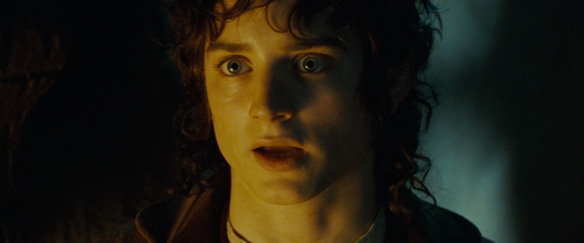The Lord of the Rings: The Fellowship of the Ring (2001) HD screenshot 7292