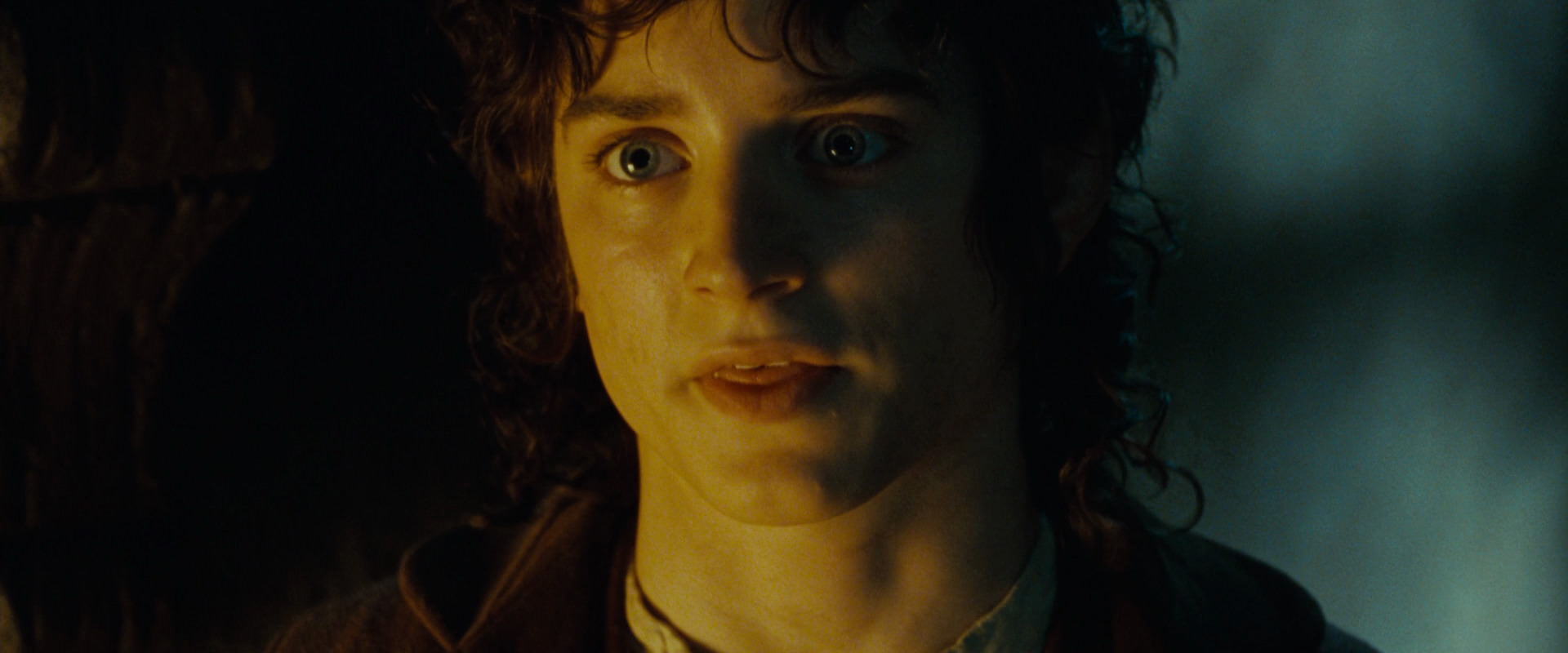 The Lord of the Rings: The Fellowship of the Ring (2001) screencap 7293