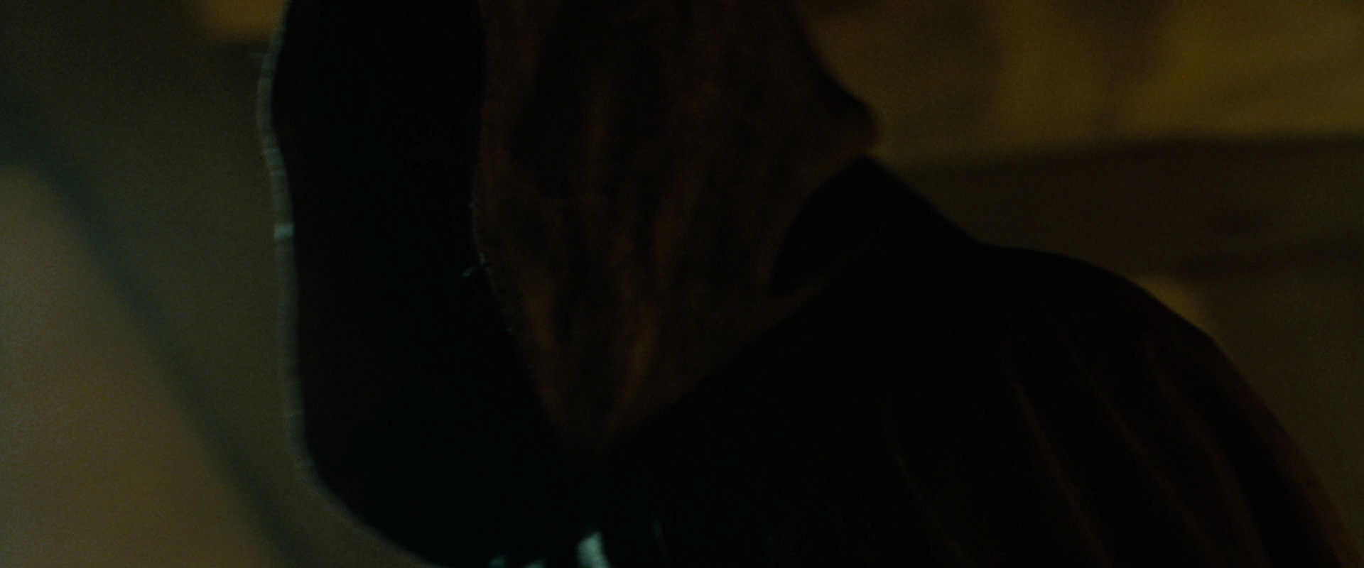 The Lord of the Rings: The Fellowship of the Ring (2001) HD screenshot 7295