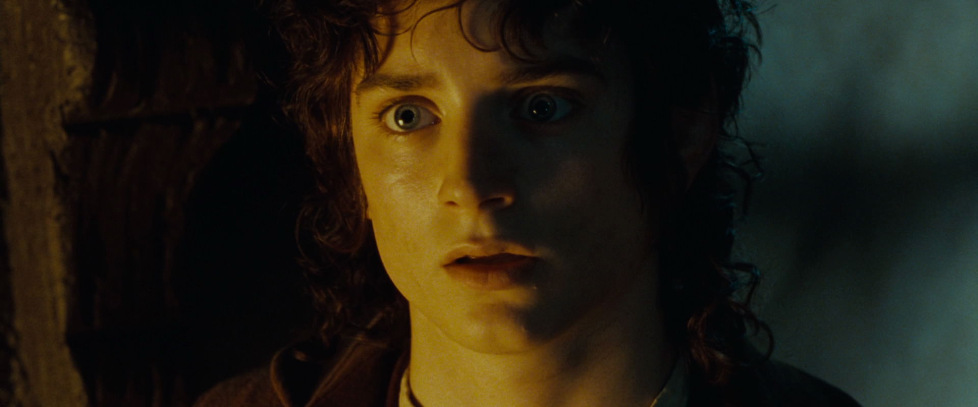 The Lord of the Rings: The Fellowship of the Ring (2001) screencap 7356