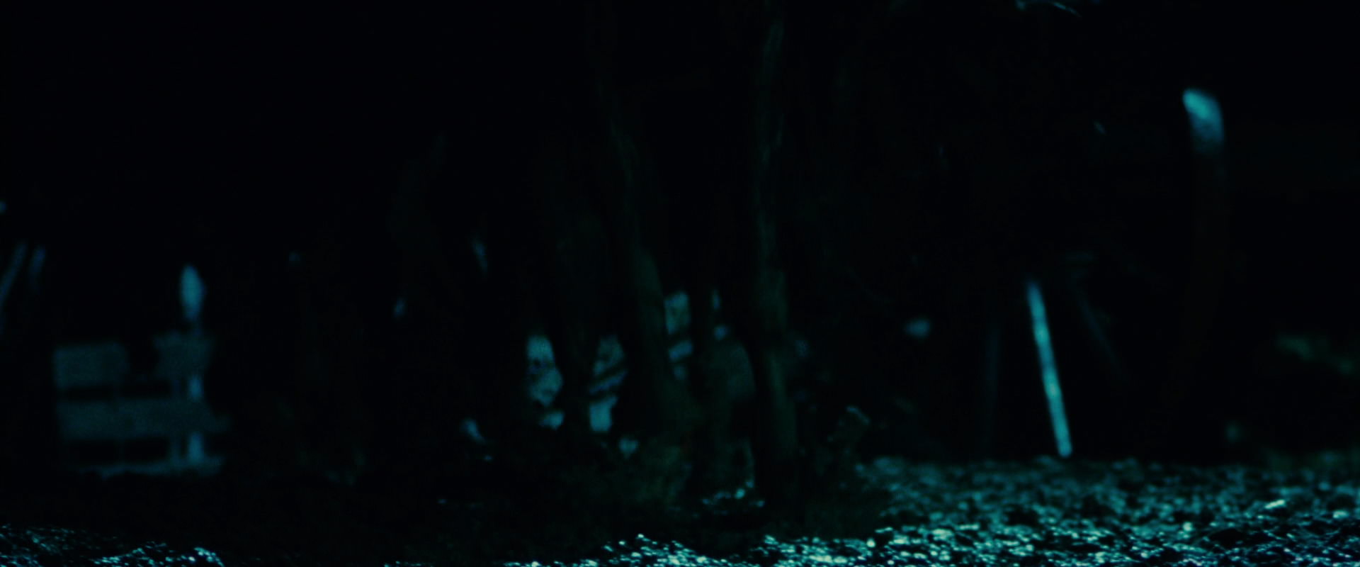 The Lord of the Rings: The Fellowship of the Ring (2001) screencap 7386
