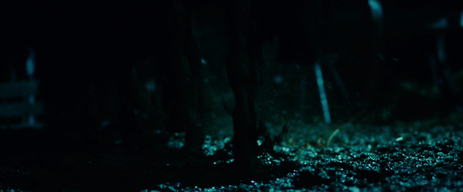 The Lord of the Rings: The Fellowship of the Ring (2001) HD screenshot 7388