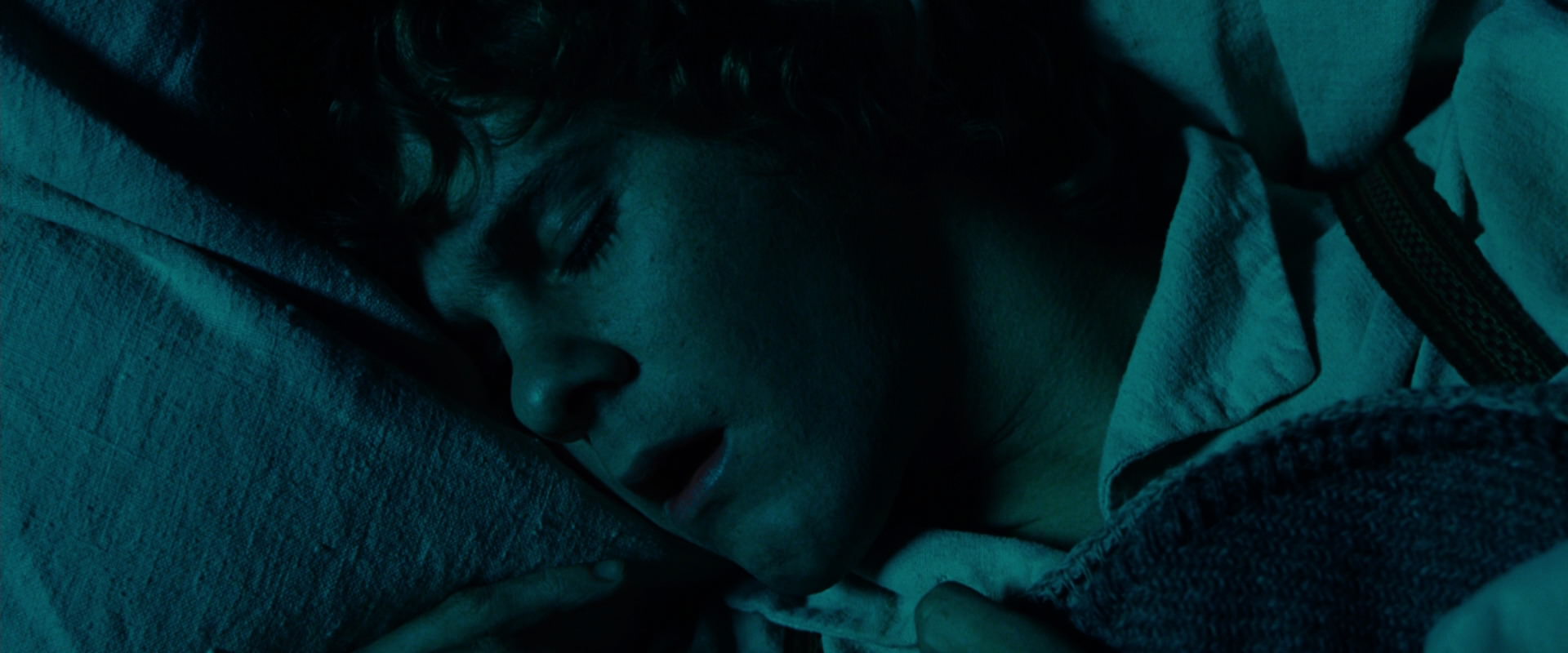 The Lord of the Rings: The Fellowship of the Ring (2001) HD screenshot 7415