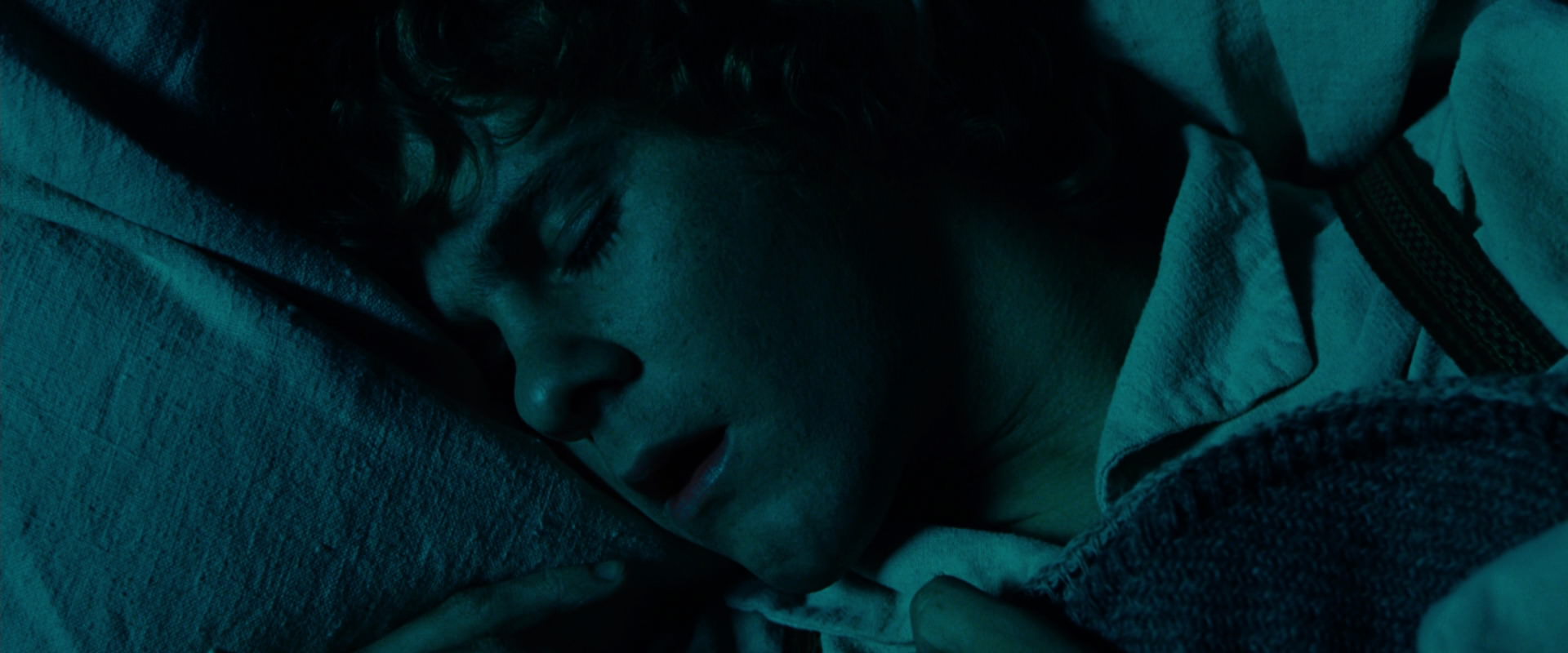 The Lord of the Rings: The Fellowship of the Ring (2001) screencap 7416