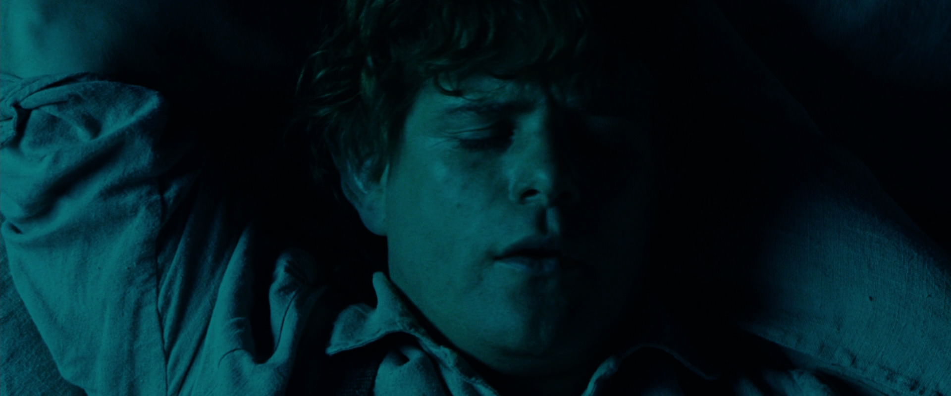 The Lord of the Rings: The Fellowship of the Ring (2001) screencap 7464