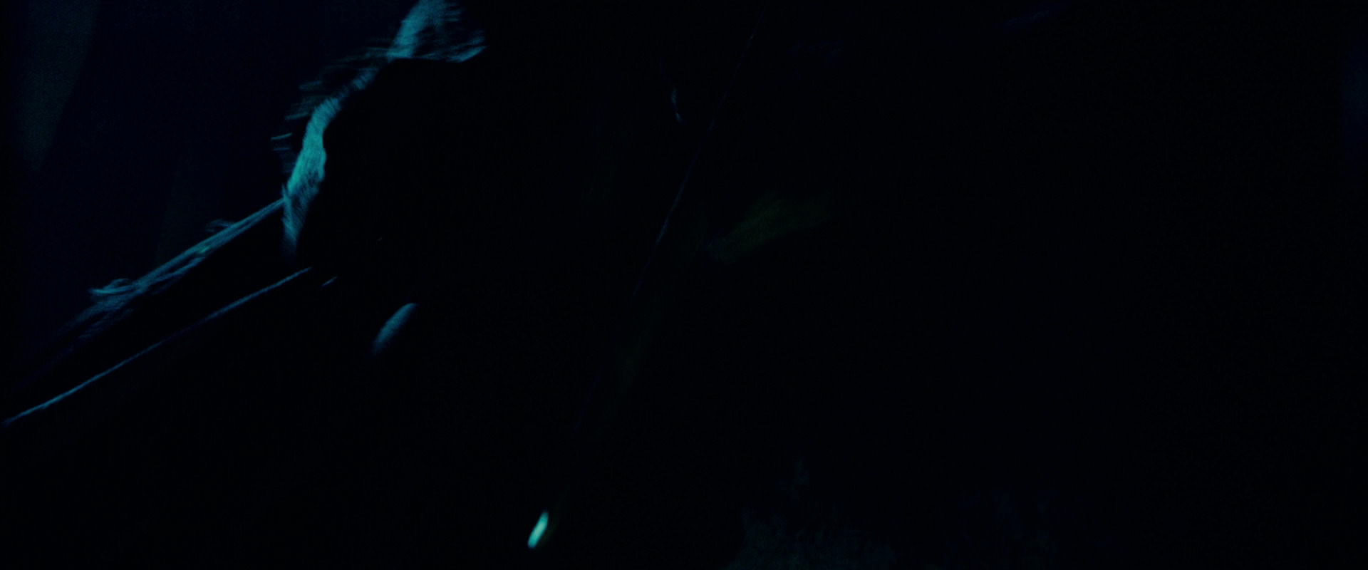 The Lord of the Rings: The Fellowship of the Ring (2001) screencap 7476